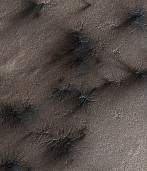 HiRISE image is ~1 km across. Spiders and fans are visible.
